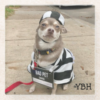 刑務所の鳥のヘイイ ガラスコースター