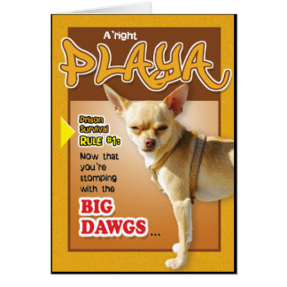 刑務所カード-上のDawg