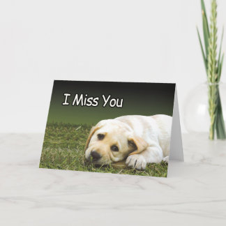 刑務所カー恋しく思ド –  U カード