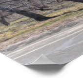 列にリンゴの木の油写真絵画 ポスター (角)