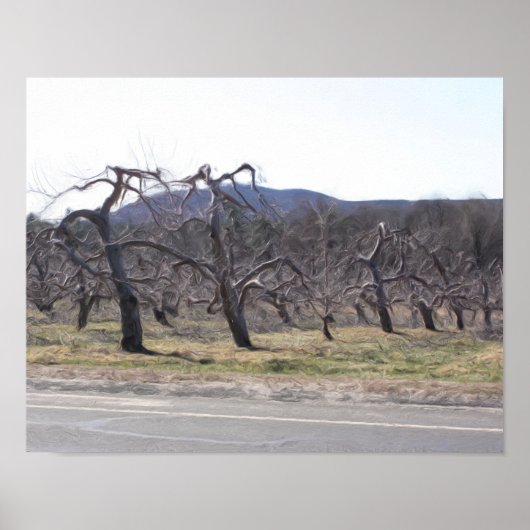 列にリンゴの木の油写真絵画 ポスター (正面)