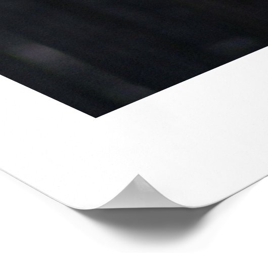 列に並んだカモメ ポスター (角)