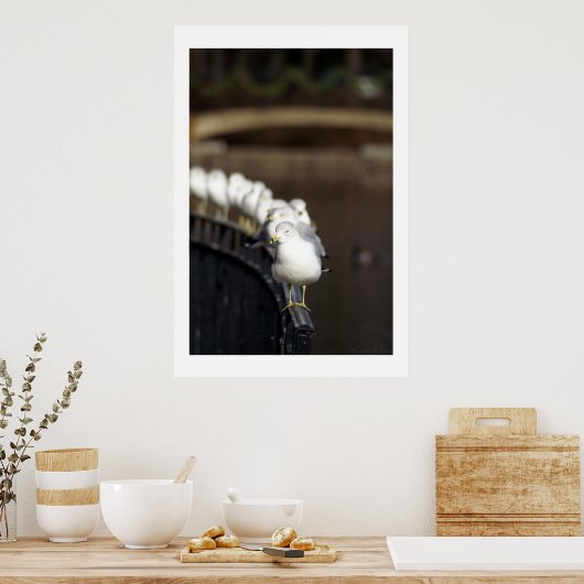 列に並んだカモメ ポスター (キッチン)