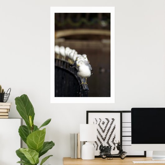 列に並んだカモメ ポスター (ホームオフィス)