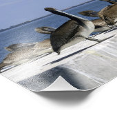 列に並んだペリカン フォトプリント            (角)