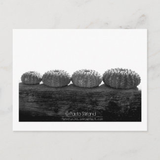 列に並んで待つ ポストカード