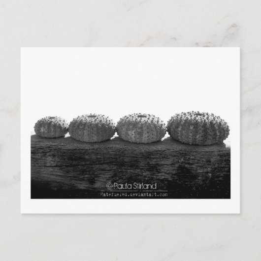 列に並んで待つ ポストカード (正面)