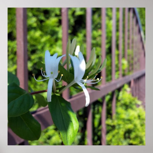 列に並んで ポスター (正面)