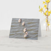 列のアヒル カード (黄色い花)