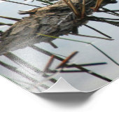 列のアヒル フォトプリント            (角)