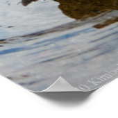 列のアヒル ポスター (角)