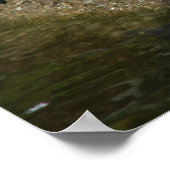 列の写真の中のスライダーカメ ポスター (角)