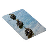 列プレミアム磁石のアヒル マグネット (右側)