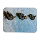 列プレミアム磁石のアヒル マグネット (横)