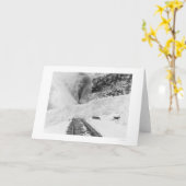 列車のなだれアラスカ1916年 カード (黄色い花)