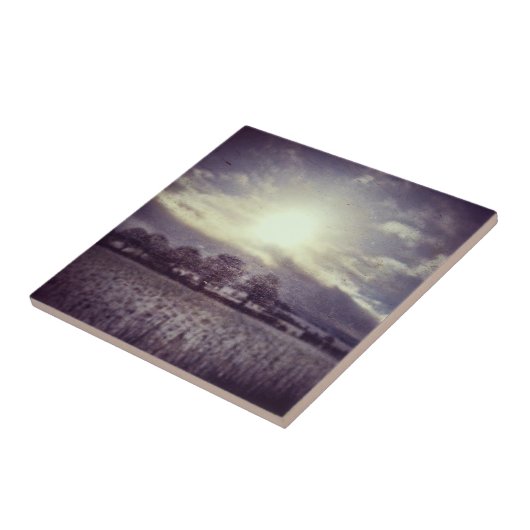 列車の窓から冬の畑や丘 タイル (側面)