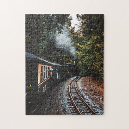 列車パズル日刊地鋸パズル/地下鉄車両ジグ ジグソーパズル (縦)