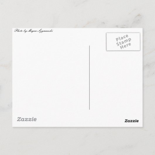 列車 ポストカード (裏面)