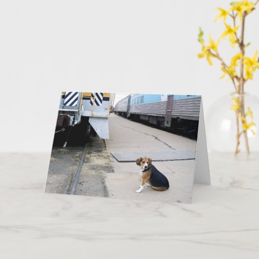 列車-挨拶状--を待っている孤独なビーグル犬 カード (黄色い花)