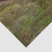 列車- 1896年天気鉄道 薄葉紙 (詳細)