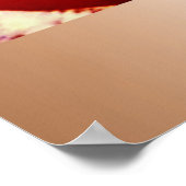 初のオバマ舞踏会 ポスター (角)