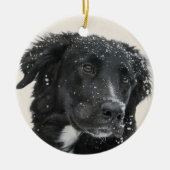 初めてのクリスマスのペットの写真 セラミックオーナメント (正面)