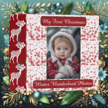初めてのクリスマスの思い出 冬のワンダーランドの写真