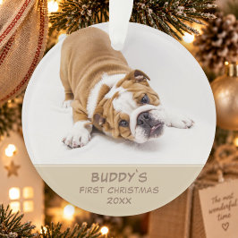 初めてのクリスマスの愛犬の写真入りグッズ オーナメント