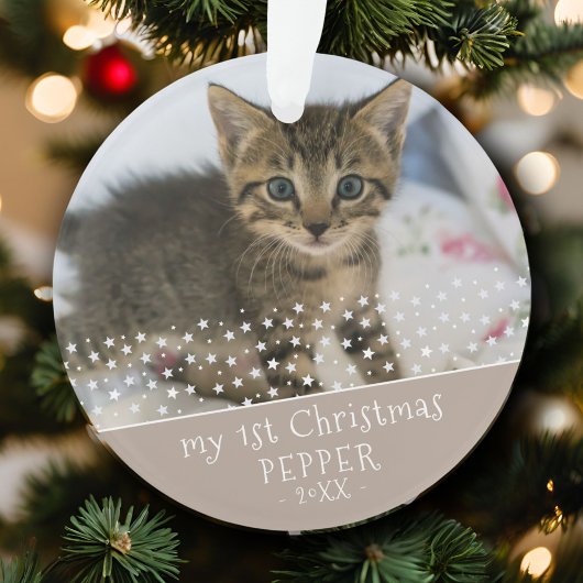 初めてのクリスマスの猫の写真の記念品 オーナメント