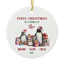 初めてのクリスマスを家族のオーナメントとして