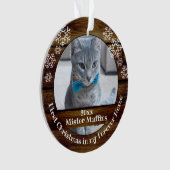 初めてのクリスマスインフォーエバーホームキャットドッグペット オーナメント (正面)