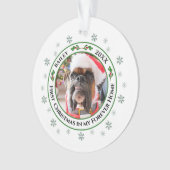 初めてのクリスマスインマイフォーエバーホームペットオーナメント オーナメント (正面)