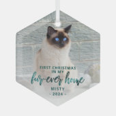 初めてのクリスマスズフォーエバーホームペットフォトティール（緑がかった色）グリーン ガラスオーナメント (正面)