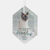 初めてのクリスマスズフォーエバーホームペットフォトティール（緑がかった色）グリーン ガラスオーナメント (正面左)