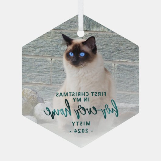 初めてのクリスマスズフォーエバーホームペットフォトティール（緑がかった色）グリーン ガラスオーナメント (裏面)