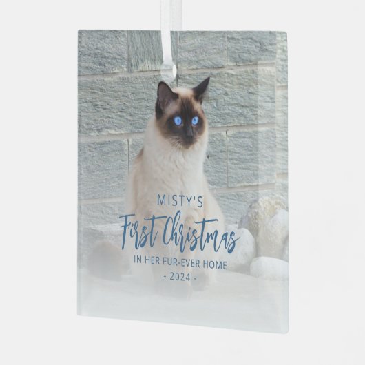 初めてのクリスマスズフォーエバーホームペットフォトブルースクエア ガラスオーナメント (正面左)