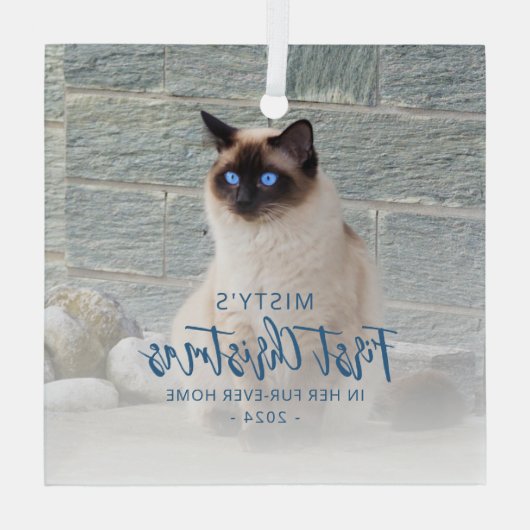 初めてのクリスマスズフォーエバーホームペットフォトブルースクエア ガラスオーナメント (裏面)