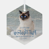 初めてのクリスマスズフォーエバーホームペットフォトブルー ガラスオーナメント (裏面)