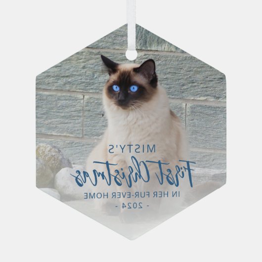 初めてのクリスマスズフォーエバーホームペットフォトブルー ガラスオーナメント (裏面)