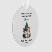 初めてのクリスマスパーソナライズされたは3人の家族として オーナメント (正面)