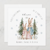 初めてのクリスマス三兎の家族 シーズンカード (正面/裏面)