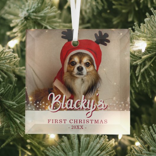 初めてのクリスマス子犬の写真ホワイトスターズ ガラスオーナメント (インサイチュ)