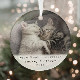 初めてのクリスマス2匹の猫やペットの写真を撮シンプルる ガラスオーナメント