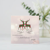 初めてのクリスマス、かわいいデアーズバッファロープレイド (スタンド正面)