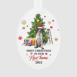初めてのクリスマス |かわいいプレゼント オーナメント