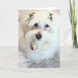 初めてのクリスマス カード