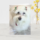 初めてのクリスマス カード (黄色い花)