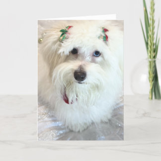 初めてのクリスマス カード