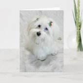 初めてのクリスマス カード (正面)