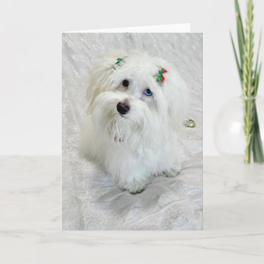 初めてのクリスマス カード (正面)